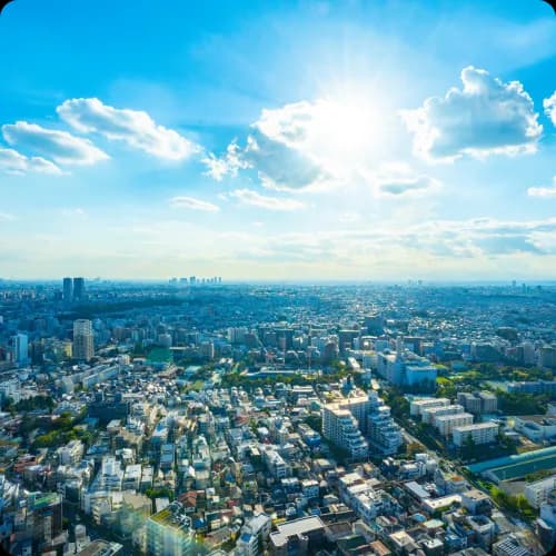 ハレフルのメンバーが一丸となって取り組む様子